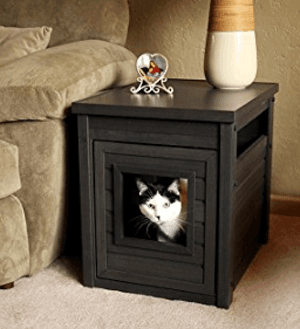 litterbox