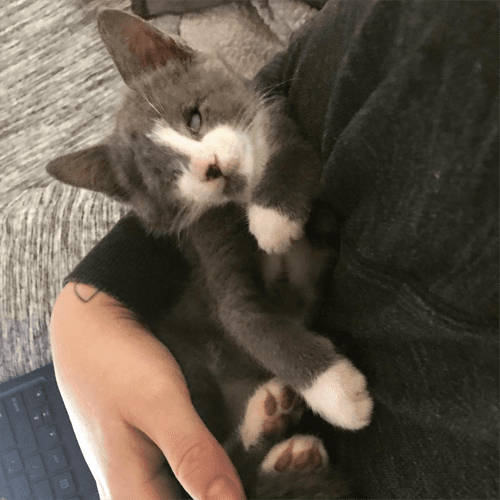 benny