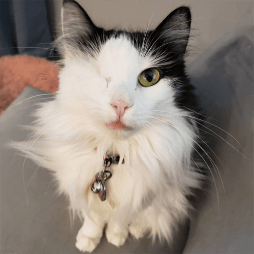 Image via @tinypiratefloof on Instagram