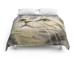 britishcatcomforter