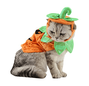 catcostume