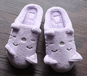 catslippers