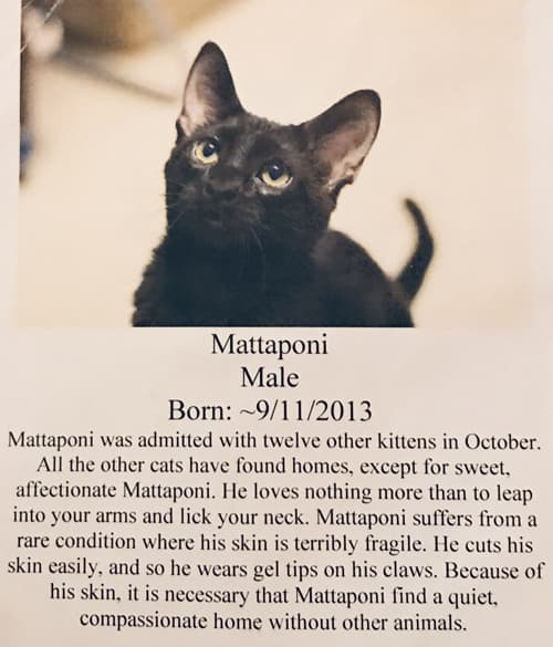 mattaponi