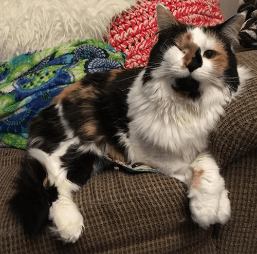 lunahobbes