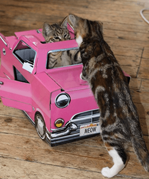 cardboardcathouse