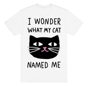 catshirt