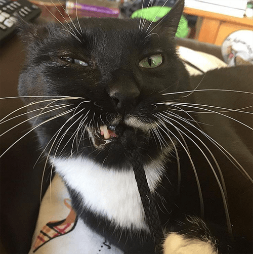 jack