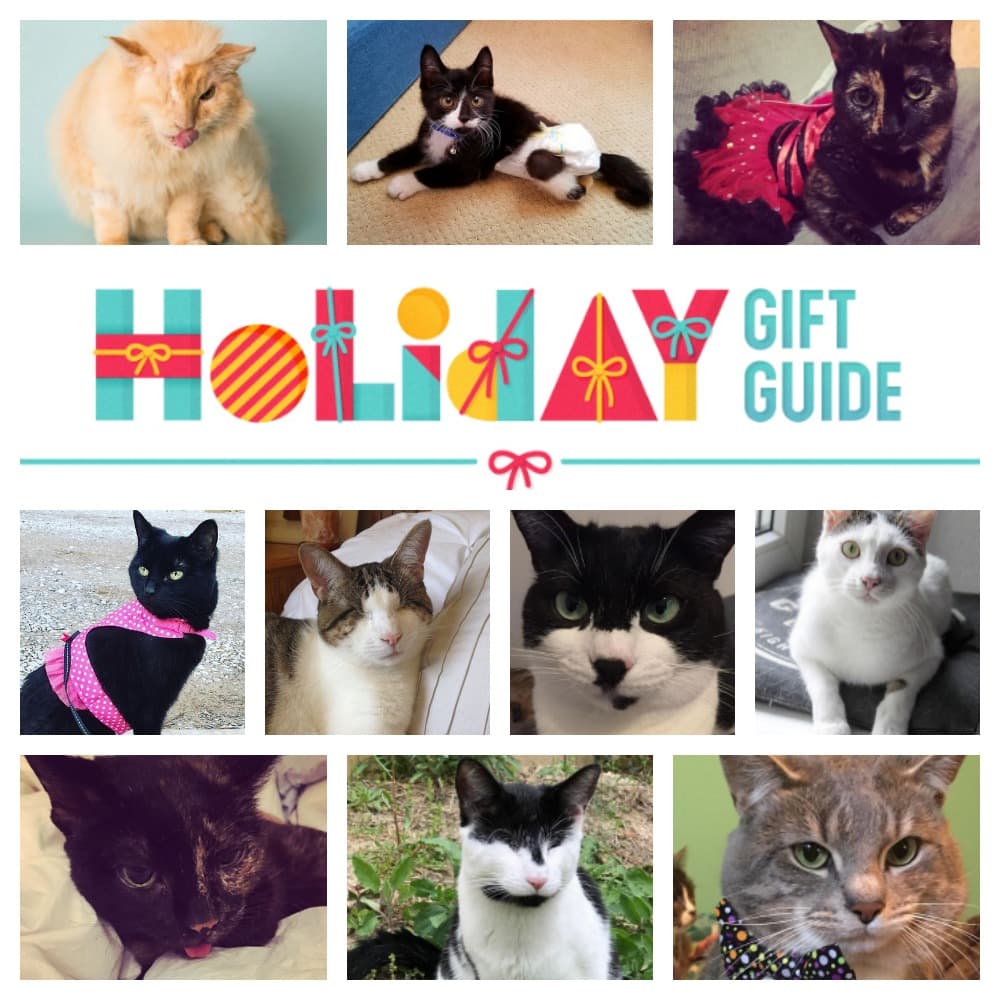 2018 holiday gift guide feature