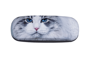 catglassescase
