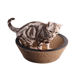 catbed
