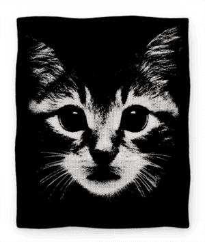 catblanket
