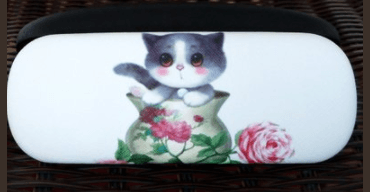 catglassescase