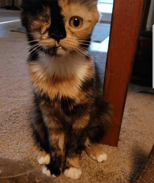gretta
