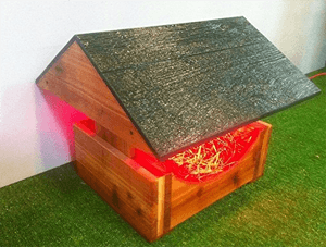 cathouse