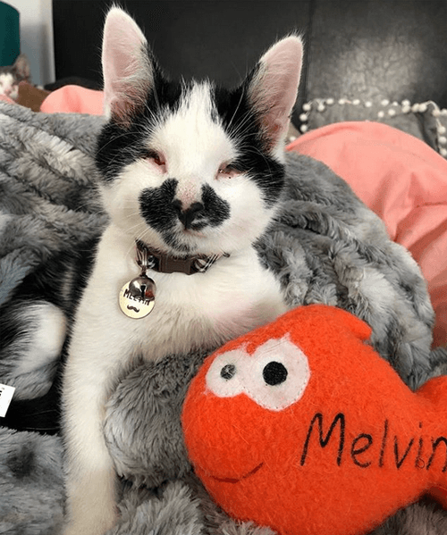 melvin