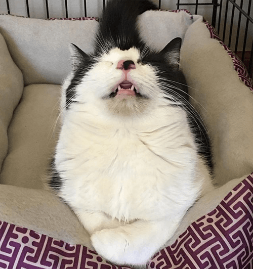 winnie