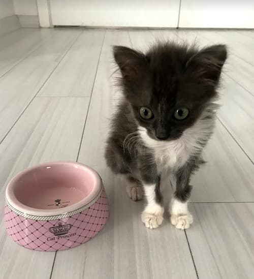 penny