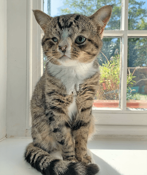 arlo