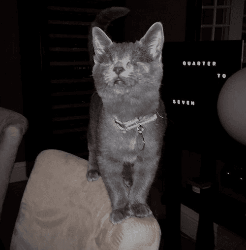 max