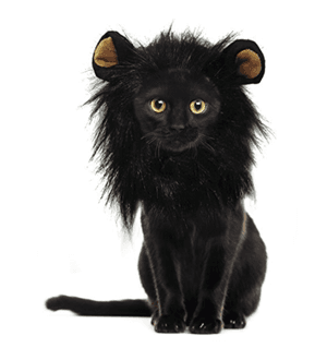 catcostume