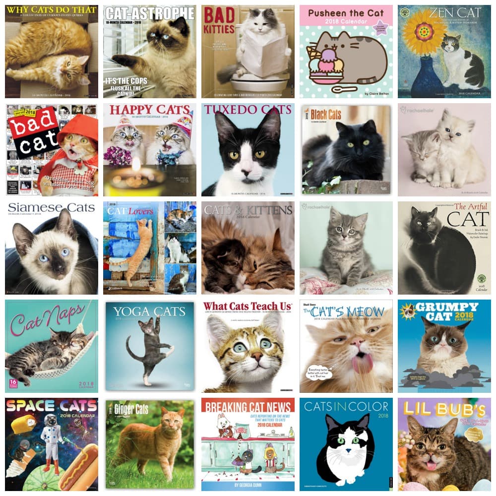 2018 cat wall calendars feature
