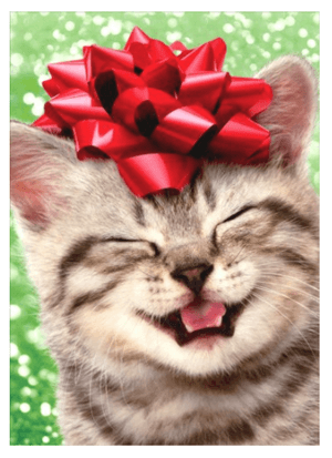 catchristmascards