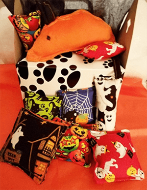 halloweencat