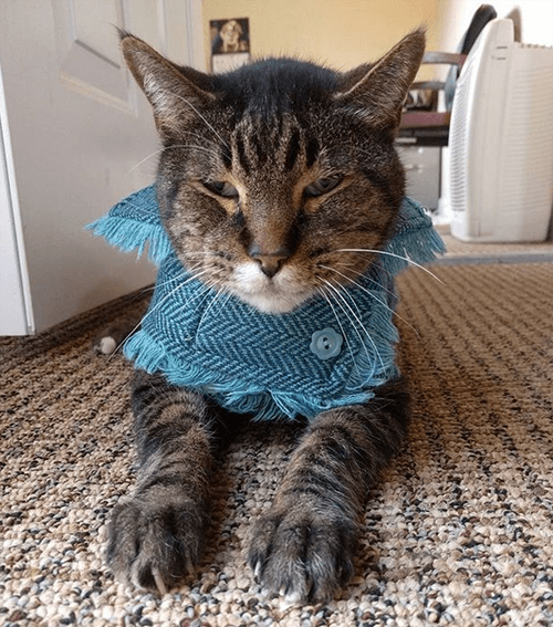 wilbur