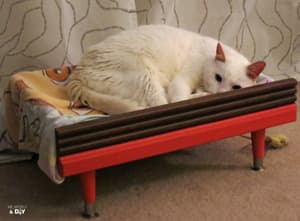 diycatbed