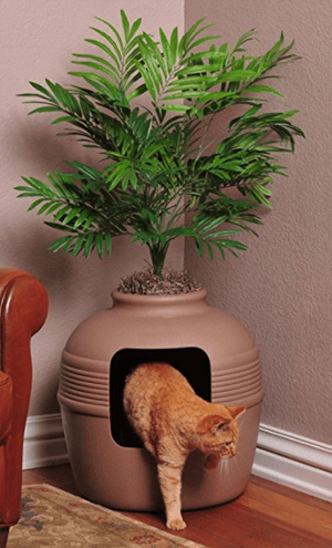 litterbox