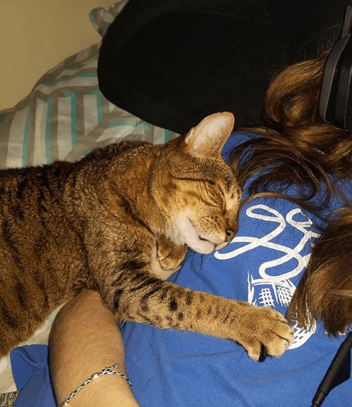 hemi