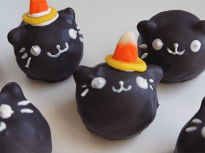 catdoughnutholes