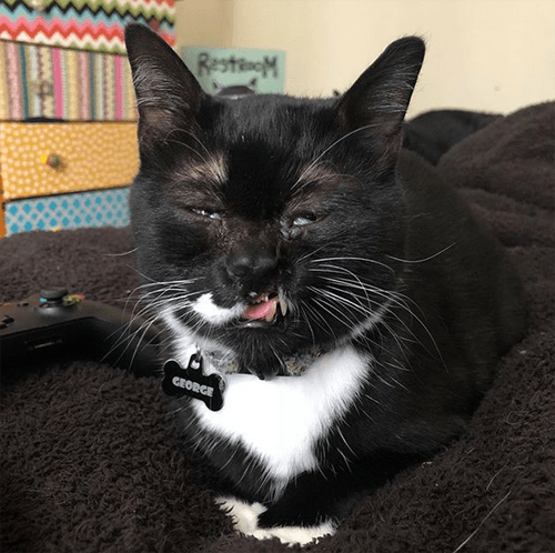 george