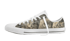 catshoes