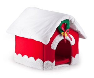 cathouse