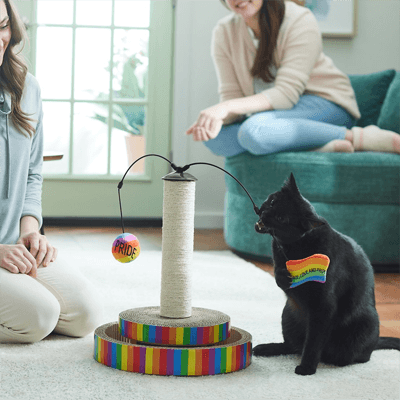 interactive rainbow cat scratcher toy