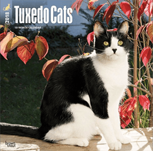 tuxedocat