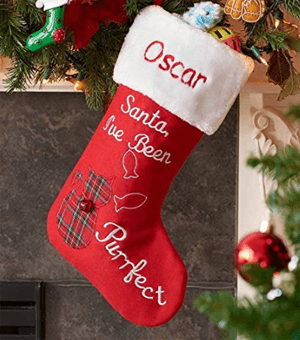 catstocking