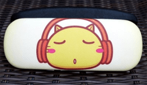 catglassescase