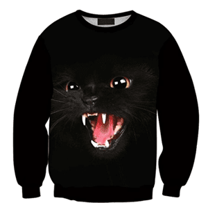 catsweatshirt