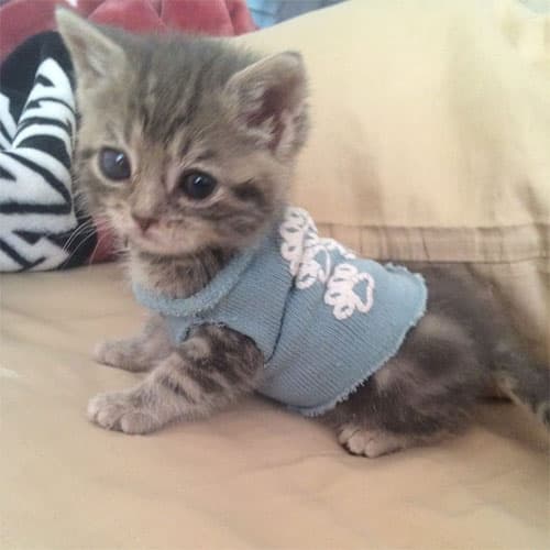 LittleGuy2