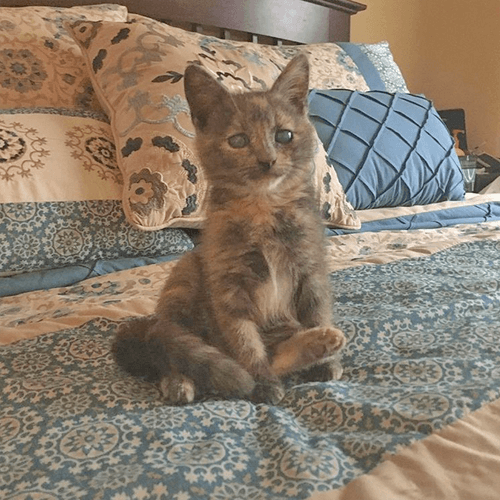 storm