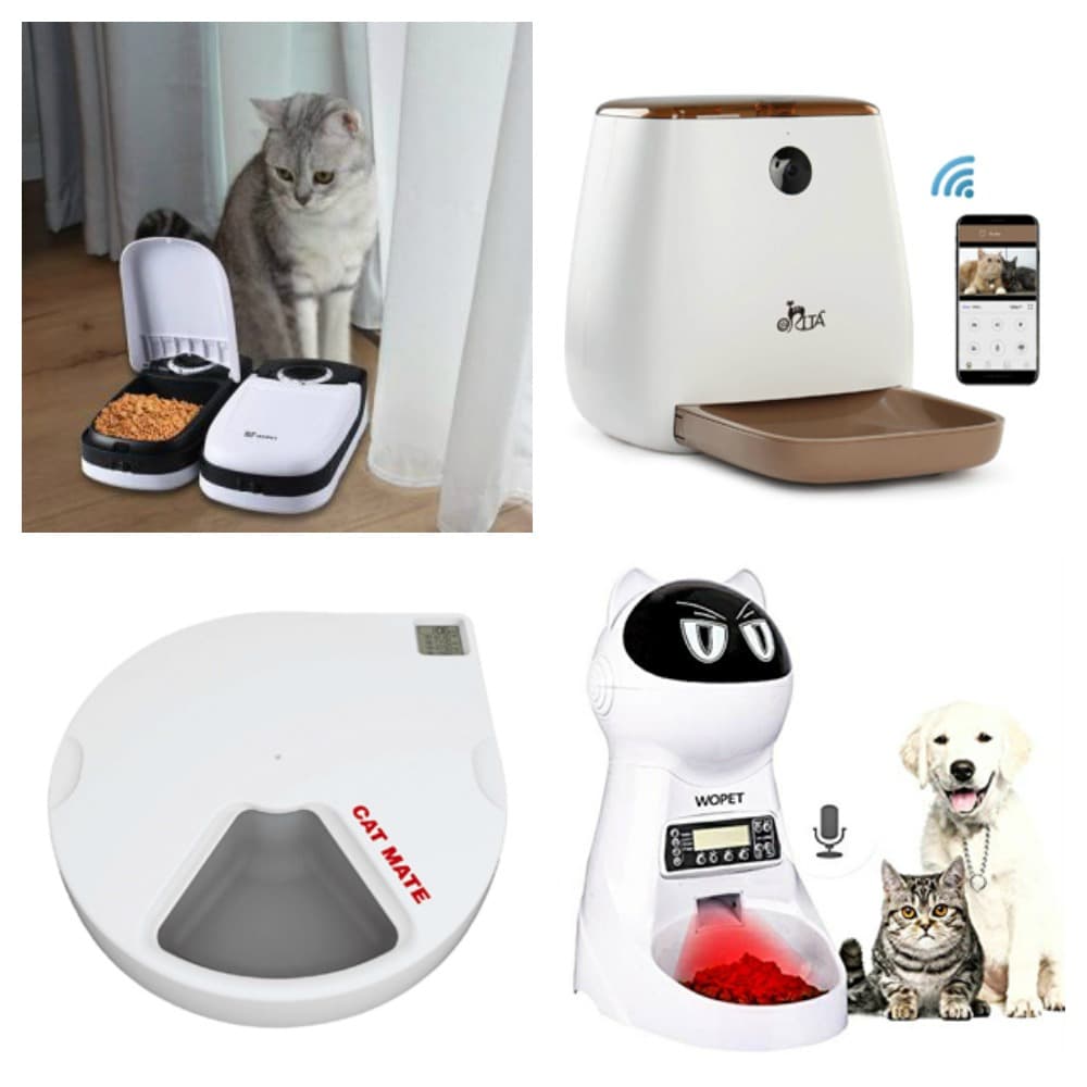 automatic feeds for cats feature