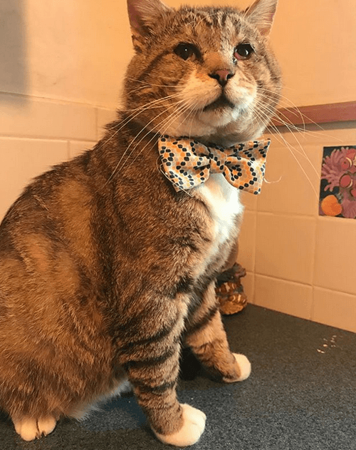 benson