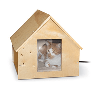 cathouse
