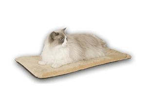 heatedcatbed