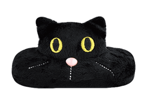 catglassescase