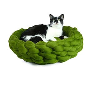 catbed