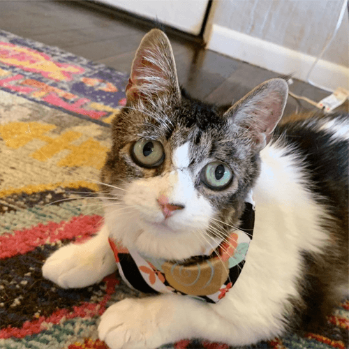 marmie