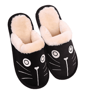 catslippers